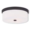 Livex Meridian 3-Light Ceiling Mount