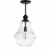 JONATHAN Y Dam 12 Adjustable Metal/Glass LED Pendant -Hot Sale All Lighting Shop 13395954 fpx
