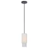Livex Carlisle 1-Light Mini Pendant -Hot Sale All Lighting Shop 13582337 fpx