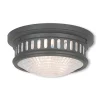 Livex Berwick 2-Light Ceiling Mount -Hot Sale All Lighting Shop 13699491 fpx