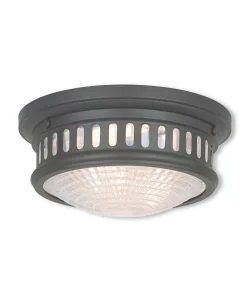 Livex Berwick 2-Light Ceiling Mount