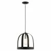 Livex Stoneridge 1 Light Pendant