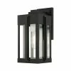 Livex Ngton 1 Light Outdoor Wall Lantern