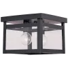 Livex Milford Ceiling Flush Mount -Hot Sale All Lighting Shop 9390057 fpx